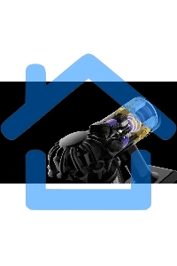 Пылесос Dyson V8 Advanced Silver/Nickel EU