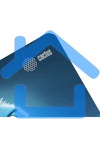 Коврик для мыши Cactus Bird 220x180x2мм (CS-MP-P13XS)