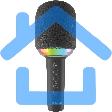 Микрофон беспроводной Hyundai H-MIC100 черный