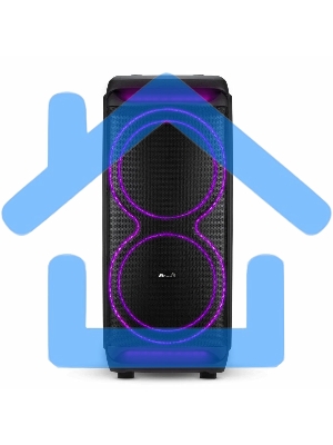 Колонка Eltronic 15