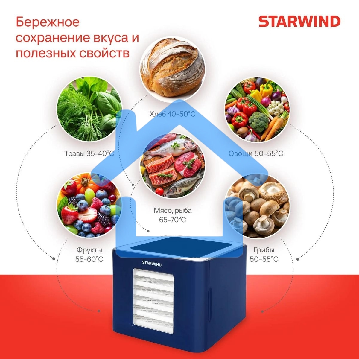 Сушилка для овощей и фруктов StarWind SFD6430, синий, 6 поддонов