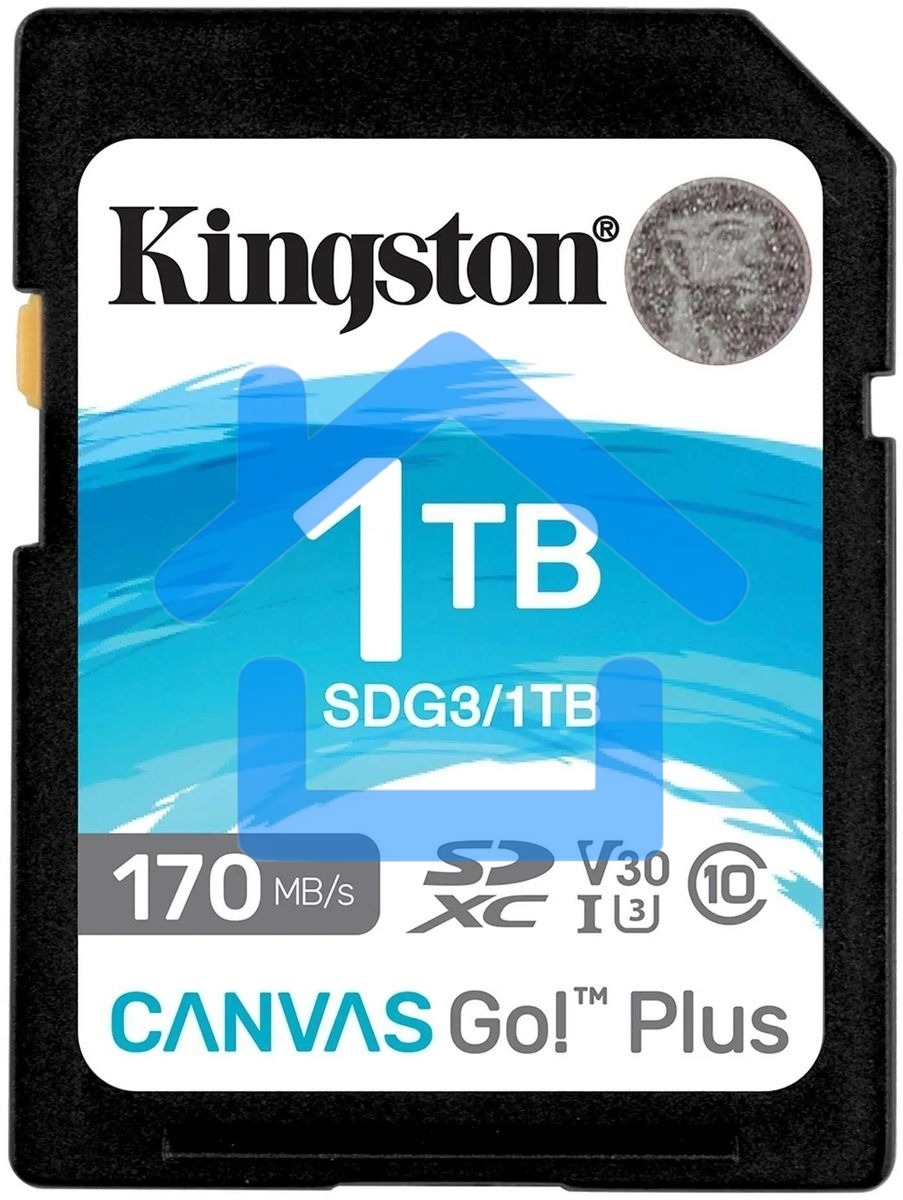 Карта памяти Kingston 1Tb SDXC Canvas Go Plus 170R C10 UHS-I U3 V30/ Kingston 1Tb SDXC Canvas Go Plus 170R C10 UHS-I U3 V30