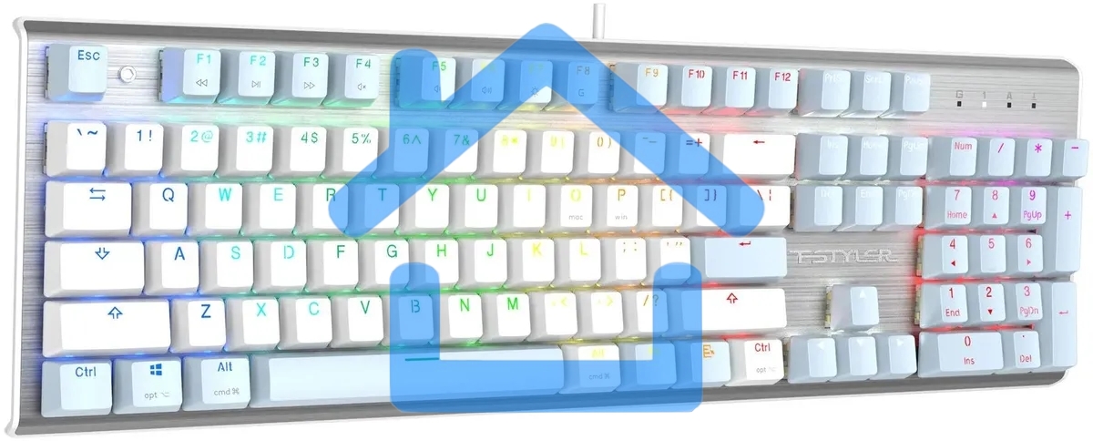 Клавиатура A4Tech Fstyler FS100 Neon проводная, USB, синий/белый