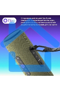 Умная колонка Yandex Стрит Алиса зеленый 30W 2.0 BT/Wi-Fi 10м 3300mAh (YNDX-00030GRN)