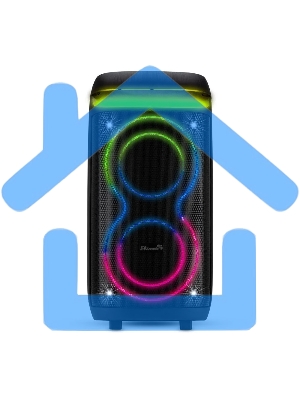 Колонка Eltronic 08