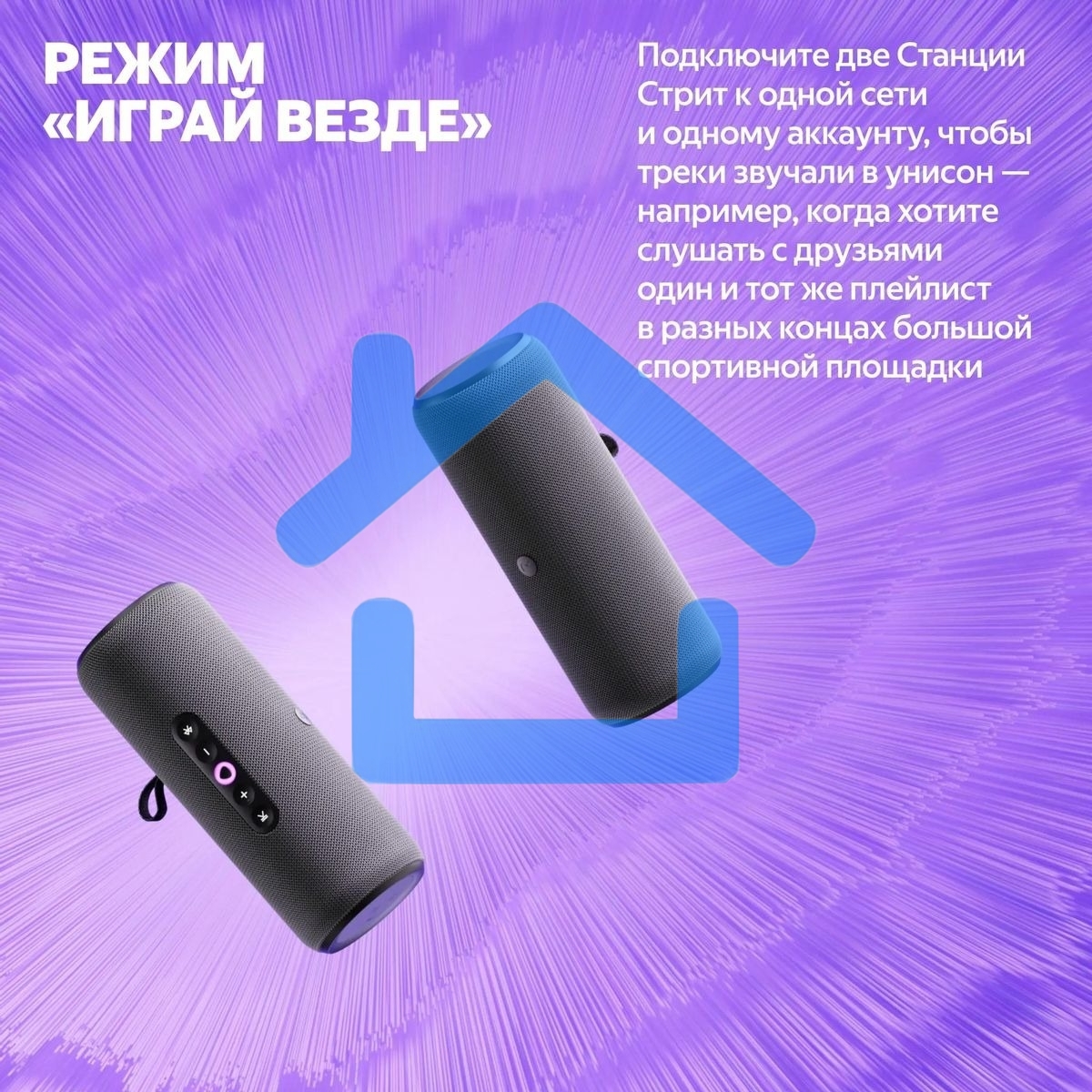Умная колонка Yandex Стрит Алиса черный 30W 2.0 BT/Wi-Fi 10м 3300mAh (YNDX-00030BLK)