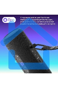 Умная колонка Yandex Стрит Алиса черный 30W 2.0 BT/Wi-Fi 10м 3300mAh (YNDX-00030BLK)