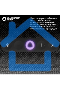 Умная колонка Yandex Стрит Алиса черный 30W 2.0 BT/Wi-Fi 10м 3300mAh (YNDX-00030BLK)