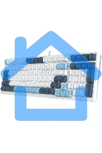 Клавиатура проводная A4Tech Fstyler FS300 (FS300 PANDA SNOWBOARDING), USB, белый/синий