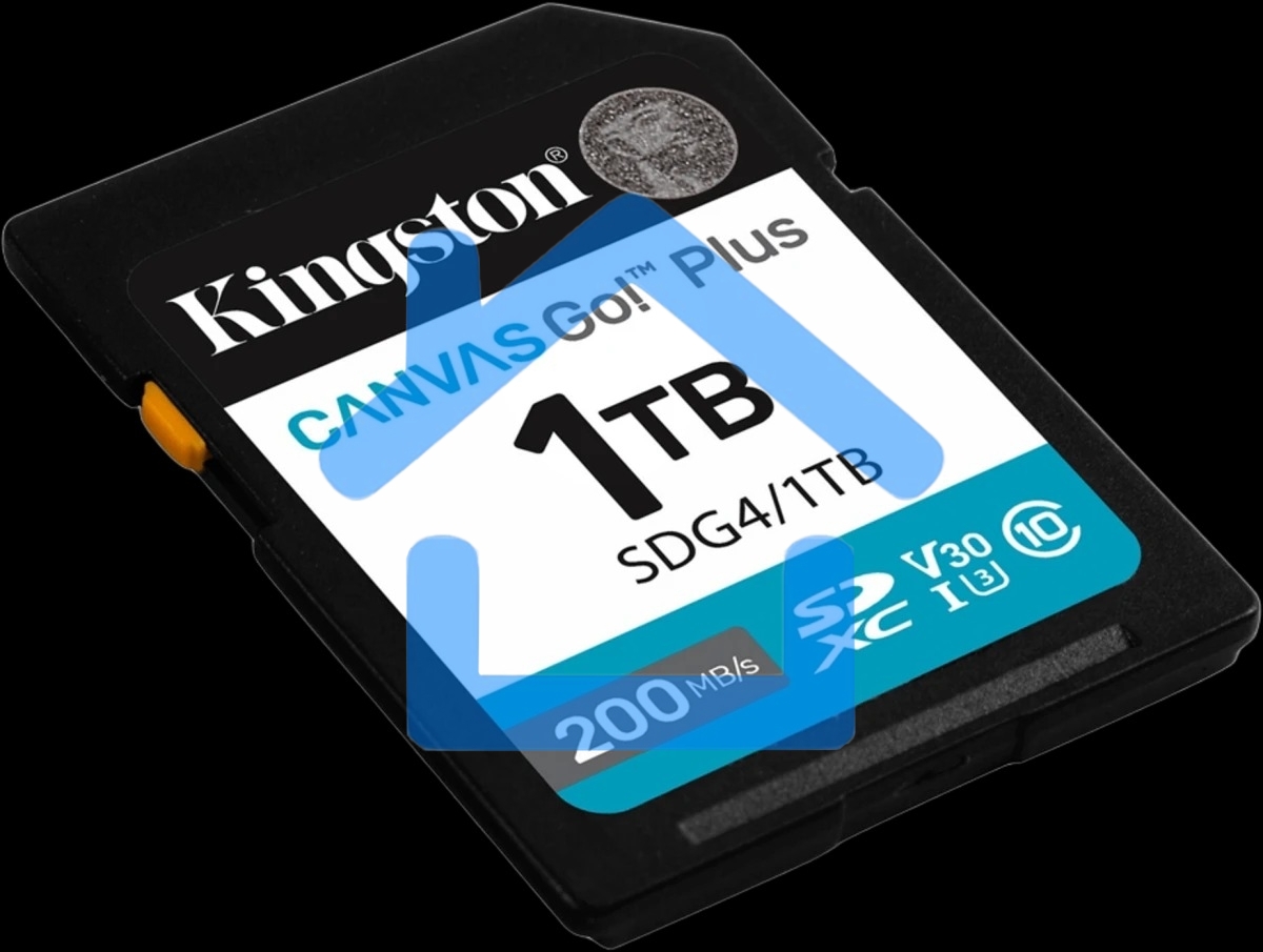 Флеш карта SDXC 1Tb Kingston SDG4/1Tb Canvas Go! Plus w/o adapter