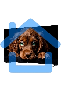 Телевизор Topdevice 65