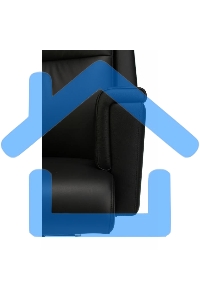 Кресло руководителя Бюрократ _DUKE черный, кожа, крестовина металл/дерево