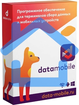 Неискл. право на исп-ие ПО DataMobile версия Стандарт подп.1г. (DM12M)