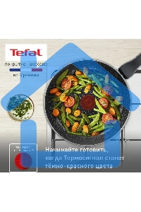 Сковорода Tefal Rock 4235124 круглая 24см покрытие: антипригарное ручка несъемная (без крышки) черный (9100054293)