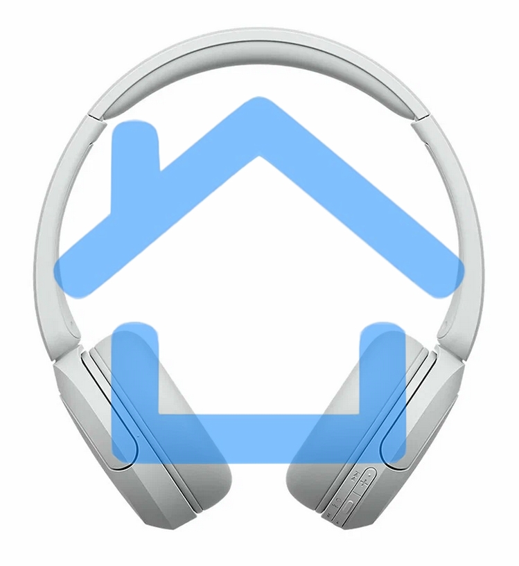 Гарнитура SONY Bluetooth WH-CH520WZ белый