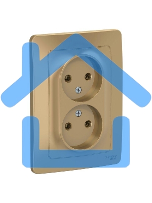 Розетка 2-м СП BLANCA 16А 250В без шторок без заземл. титан SchE BLNRS000024