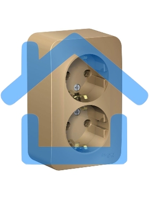 Розетка 2-м ОП BLANCA 16А 250В без шторок c заземл. изол. пласт. титан SchE BLNRA010214