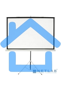 Экран Cactus 150x150см Triscreen CS-PST-150x150 1:1 напольный рулонный белый