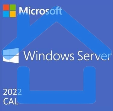 Лицензия OEI WIN SVR 2022 CAL ENG 1PK 1CLT DEV R18-06412 MS