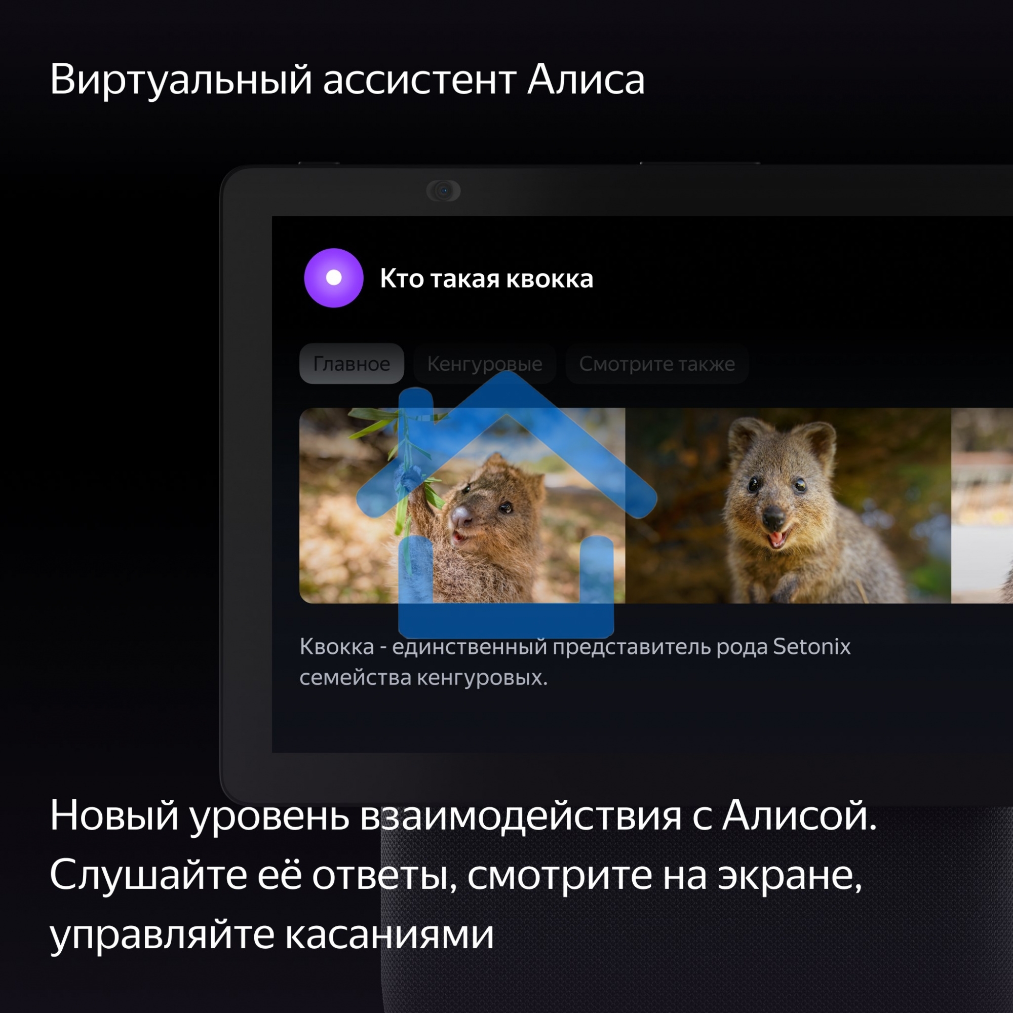 Умная колонка с дисплеем Яндекс Станция Дуо Макс, Zigbee, 60Вт, с голосовым ассистентом Алиса на YaGPT, черный (YNDX-00055BLK)