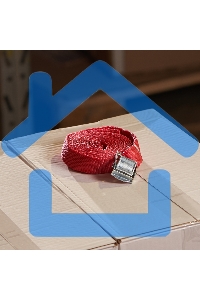 Ремень Rexant для крепления груза с фиксатором, 2.5 м