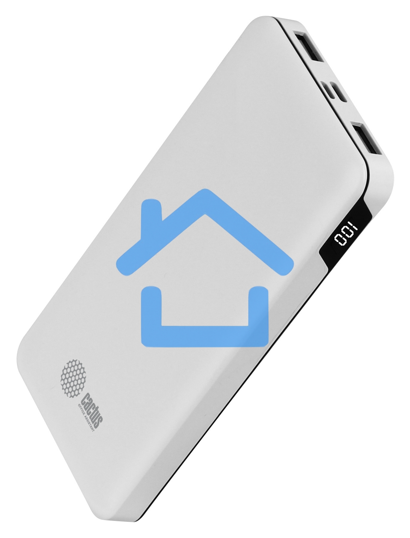 Портативный аккумулятор Cactus CS-PBFSKT-10000 10000mAh 2.1A 2xUSB белый