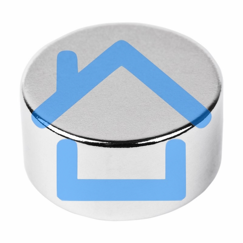 Неодимовый магнит диск 20х10мм сцепление 11,2 кг (Упаковка 1 шт) Rexant