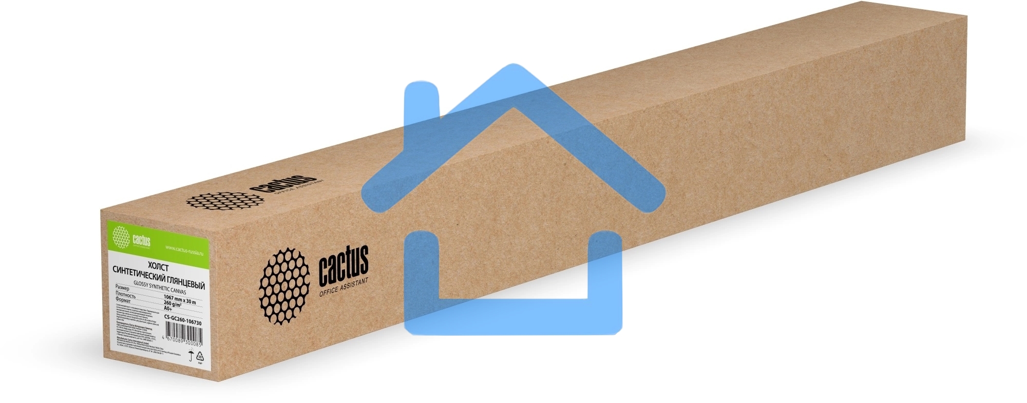 Холст Cactus CS-GC260-106730 42