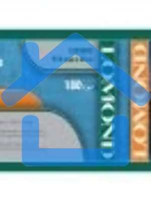 Бумага Lomond 1202092 36