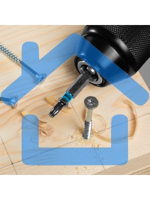 Набор бит TORX 25х50, сталь S2, 10 шт. Gross