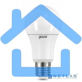 Лампа светодиодная GAUSS LD102502112LED A60 globe 12W E27 2700K