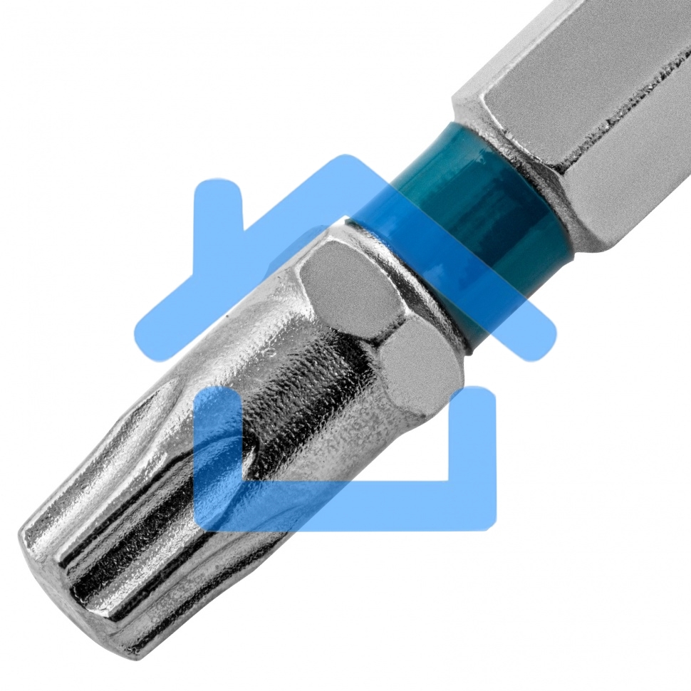 Набор бит TORX 30х50, сталь S2, 10 шт. Gross