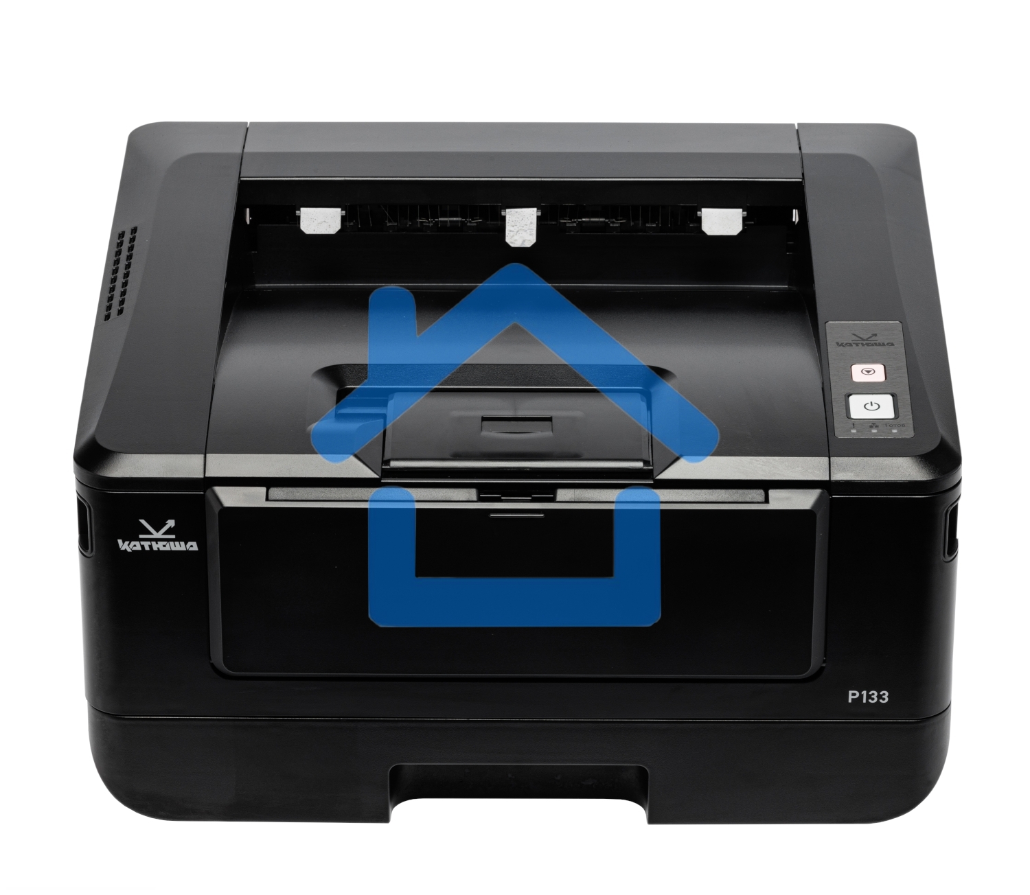 Принтер Катюша P133 (артикул: P133pm-pp)