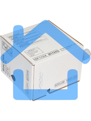 Краска Ricoh Priport JP-4500 HQ40 600 мл., CPI-11 черный (5 картриджей*600 мл)