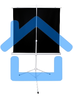 Экран 221x124.5см TriScreen 16:9 напольный рулонный белый100' Matt White (MW)