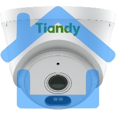 Камера видеонаблюдения IP Tiandy AK TC-C320N AK/I3W/E/Y/2.8mm/V2.0 2.8-2.8мм цв.