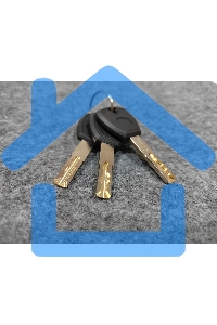 Сейф мебельный Cactus CS-SF-T25L 250x350x300мм электронный