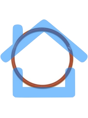 Уплотнитель плоского бойлера OR 2106 Saeco Royal