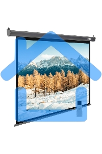 Экран Cactus 188x300см SIlverMotoExpert CS-PSSME-300X188-DG 16:10 настенно-потолочный рулонный темно-серый (моторизованный привод)
