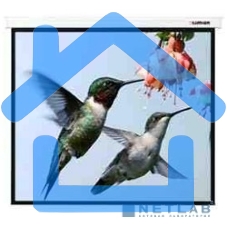 Экран Lumien 305x406см Master Control LMC-100112 4:3 настенно-потолочный рулонный (моторизованный привод)