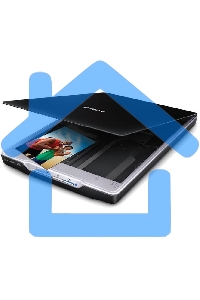 Сканер Epson Perfection V19, планшетный, A4, CIS, 4800x4800 dpi, USB 2.0