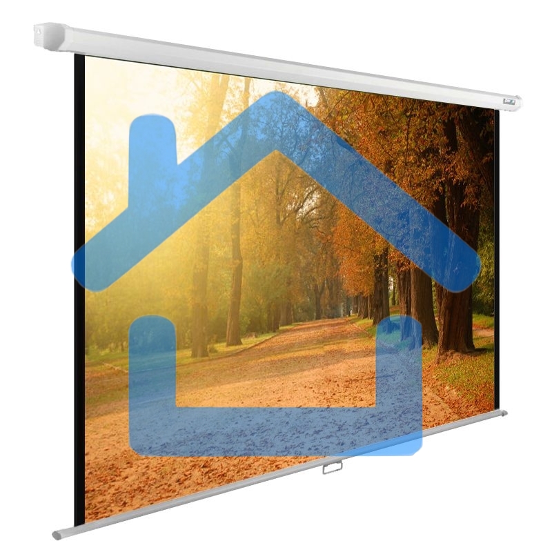 Экран Cactus 125x200см WallExpert CS-PSWE-200x125-WT 16:10 настенно-потолочный рулонный