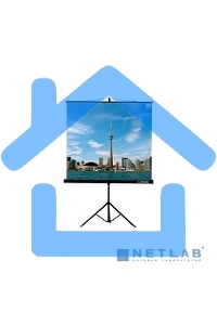 Экран на треноге Lumien 200x200см Eco View LEV-100103 1:1 напольный рулонный