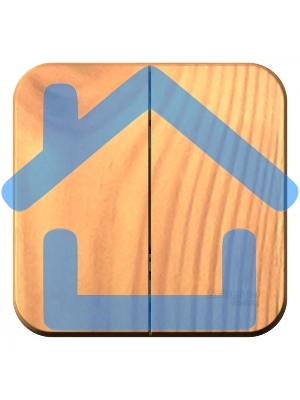 Выключатель 2-кл. ОП BLANCA (сх.5) 10А 250В изол. пласт. ясень SchE BLNVA105015