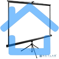 Экран Cactus 160x160см TriExpert CS-PSTE-160x160-BK 1:1 напольный рулонный