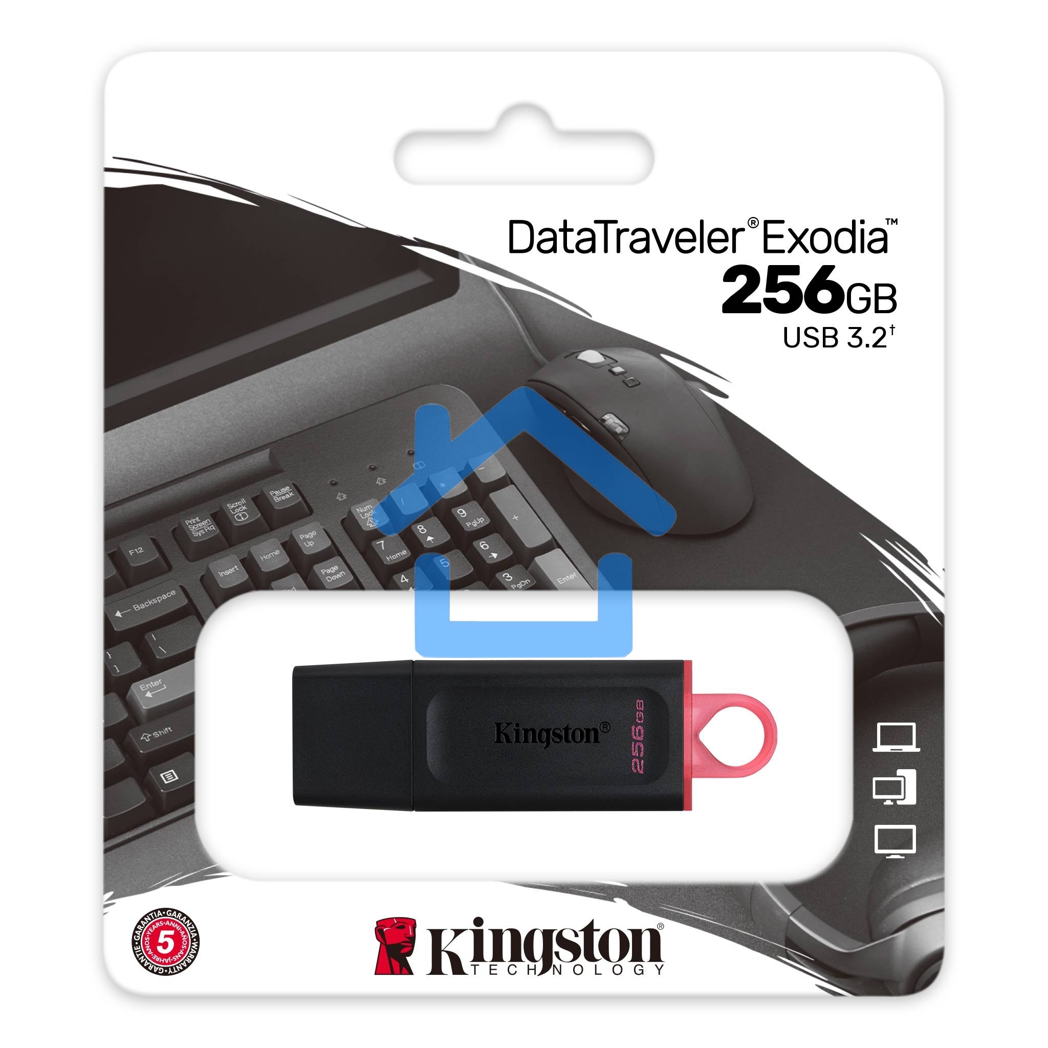 Флешка USB R/W Kingston 256Gb USB3.2 Gen1 DataTraveler Exodia (Black + Pink)