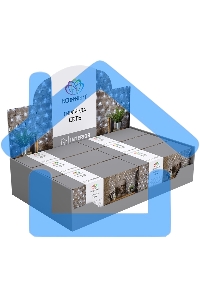 Гирлянда Neon-night Сеть с контроллером 1.5х1.5м 150 LED мульти. прозрачный провод 12Вт 220В IP20