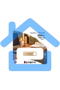 Флешка USB Kingston 256 Gb DataTraveler SE9 DTSE9G3/256 Gb USB 3.0 серебристый