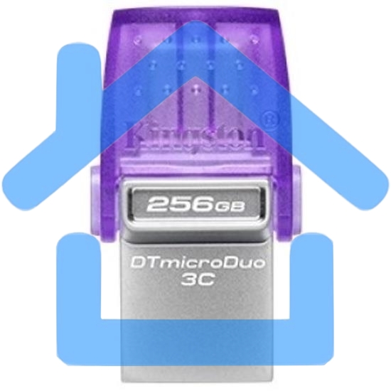 Флешка USB R/W Kingston USB3.2 256Gb DTDUO3CG3/256Gb