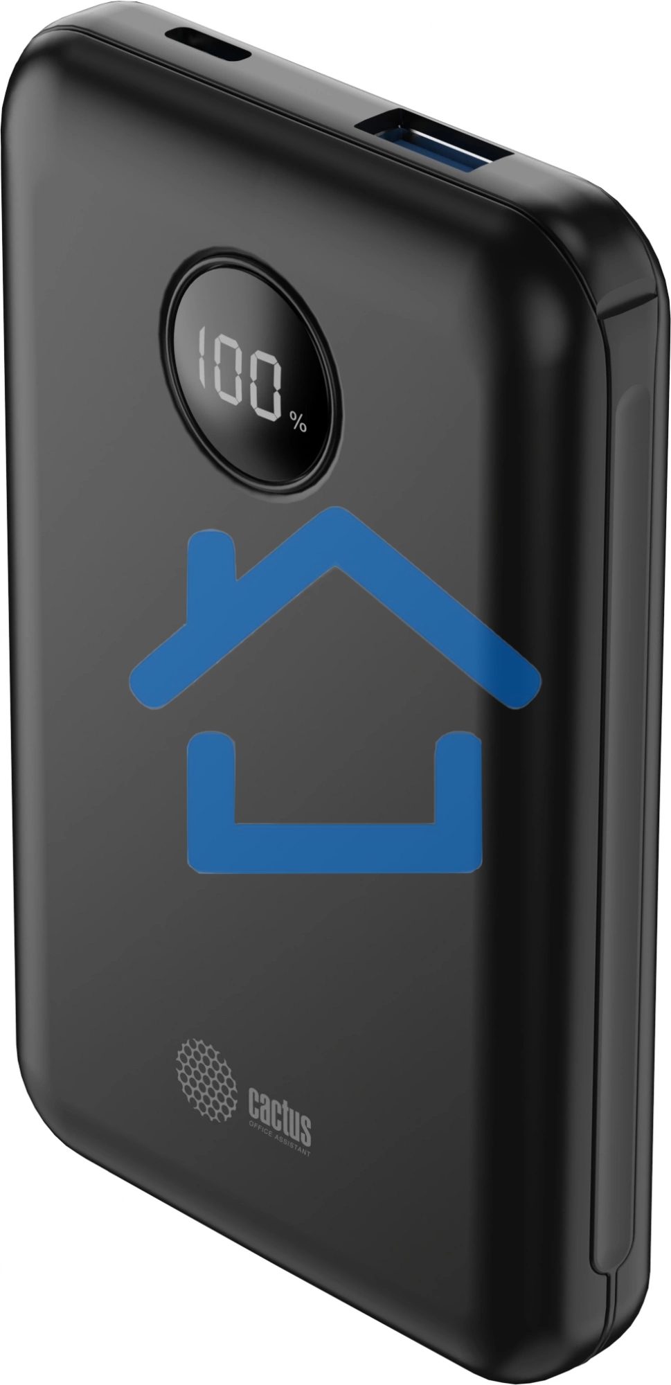 Портативный аккумулятор Cactus CS-PBFSOA-10000 10000mAh 22.5W 4.5A USB-A/USB-C черный